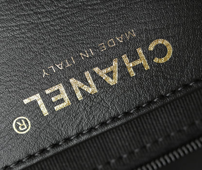 Chanel 25s 𝗛𝗼𝗯𝗼 Backpack Small Black Calfskin 340195