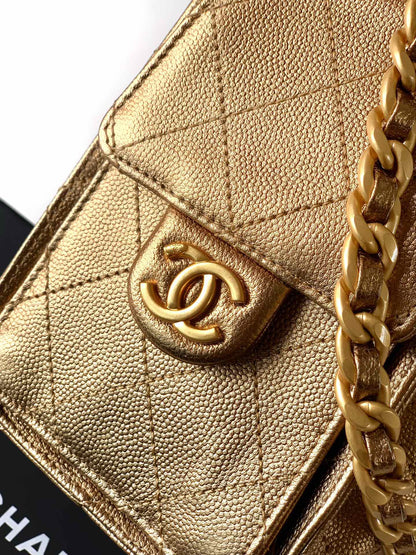CC 25C Hobo Bags 20cm Bronze Metalic Grained Calfskin